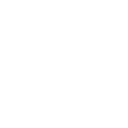 VIP Tours Malta